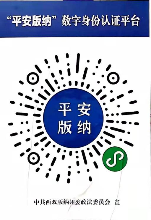 西双版纳望天树景区