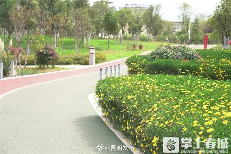 “昆明发布”微博