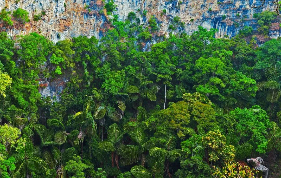 云南广播电视台(微信)