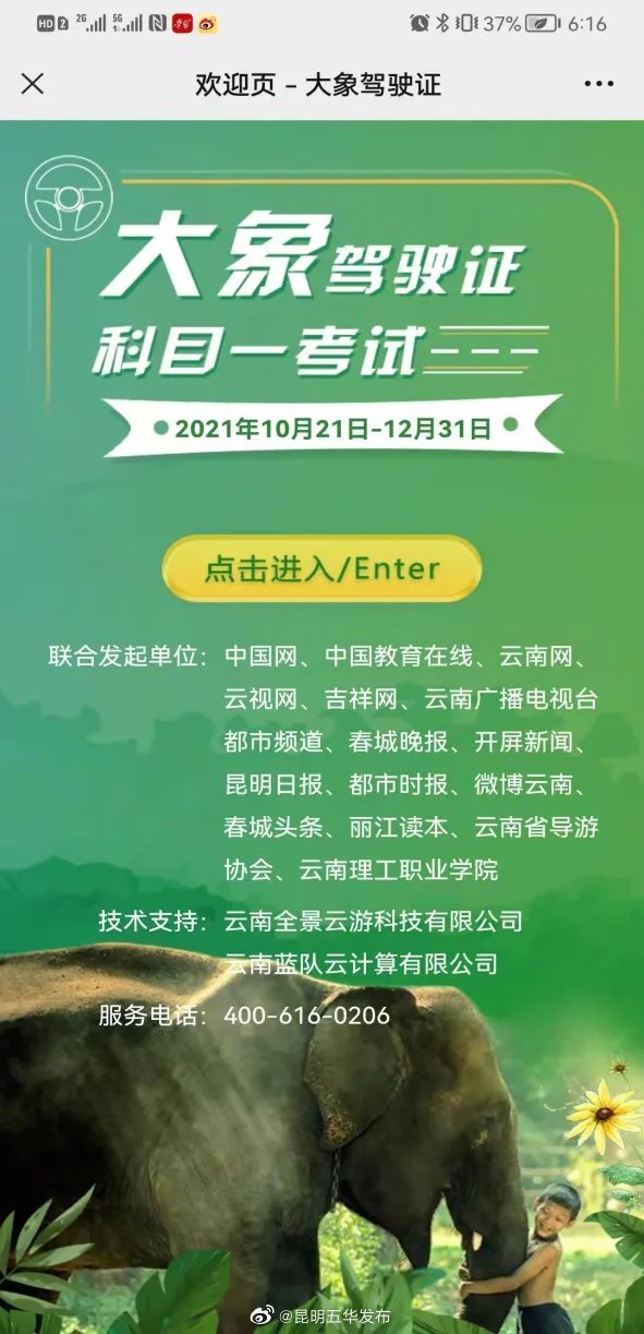 众盼已久的“大象驾驶证”终于开考！