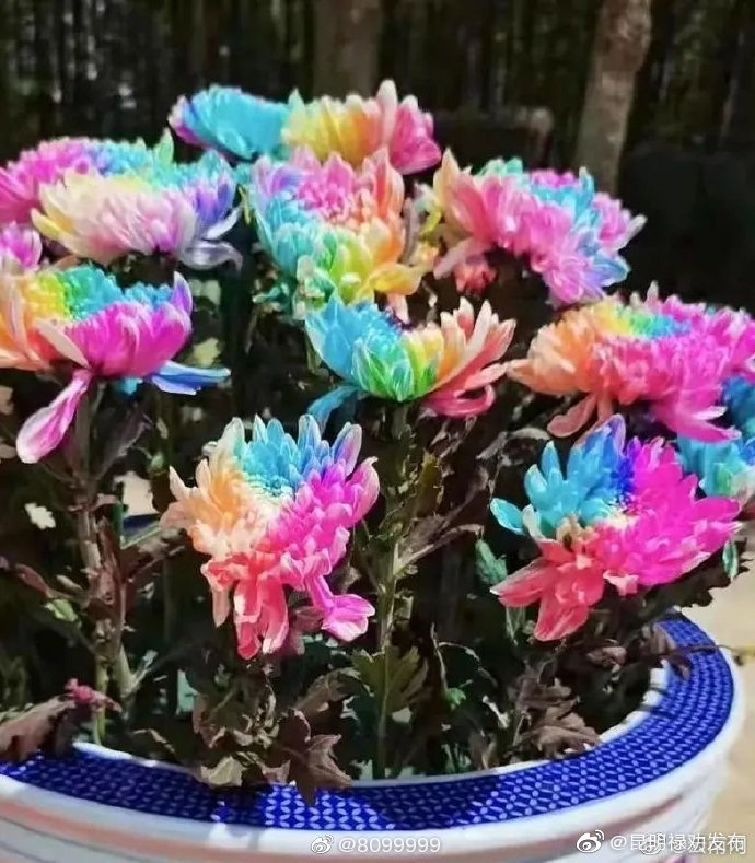 昆明禄劝发布