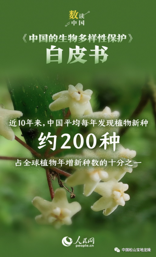 保山新闻网(微信)