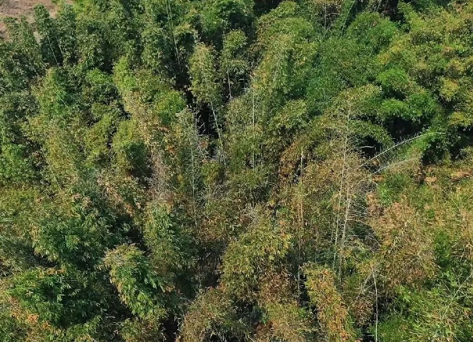 云南广播电视台(微信)