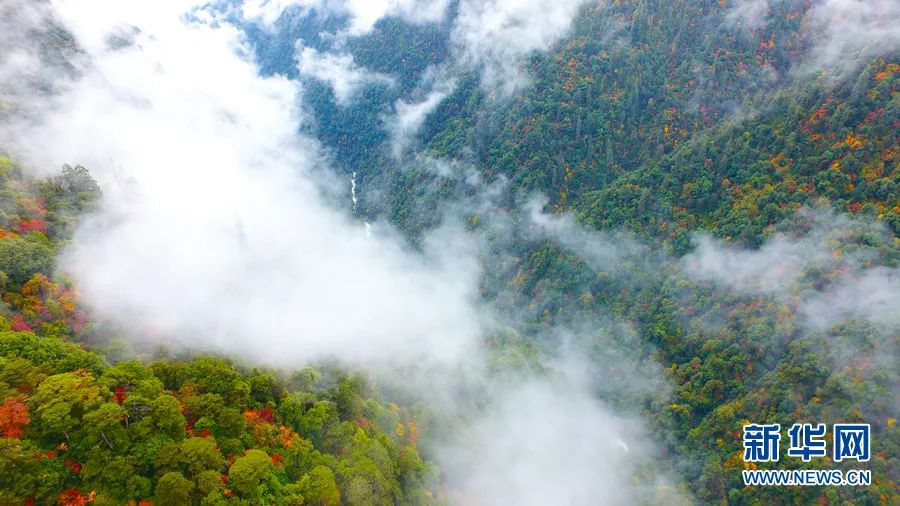 云南广播电视台(微信)