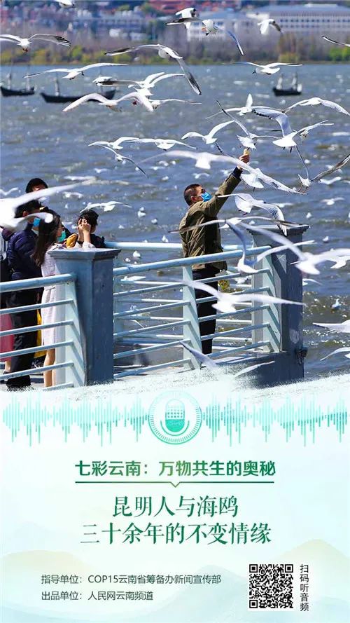 昆明发布(微信)