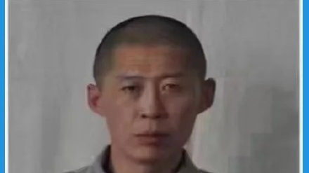 春城晚报(微信)