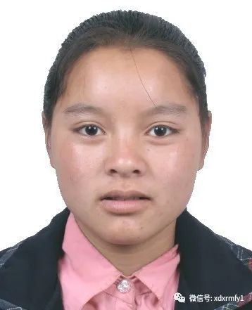 掌上春城(微信)