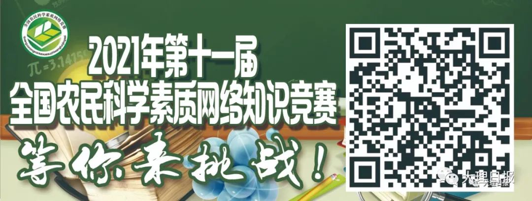 大理日报(微信)