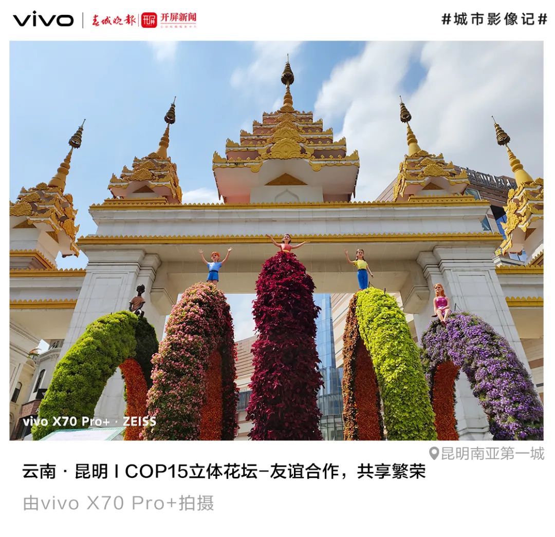 春城晚报(微信)