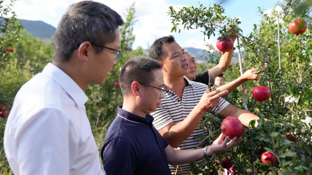 丽江日报(微信)