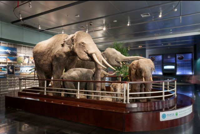 春城晚报(微信)