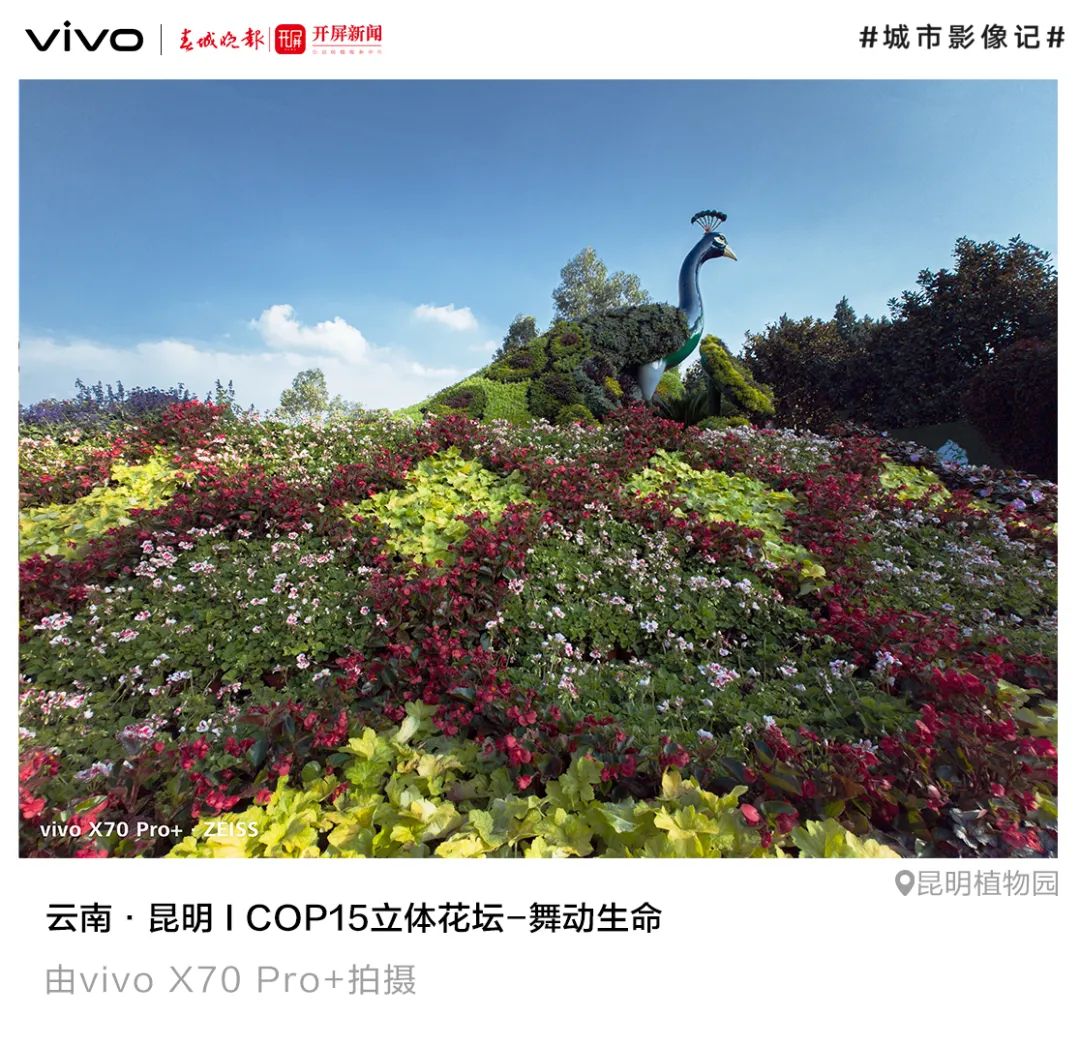 春城晚报(微信)