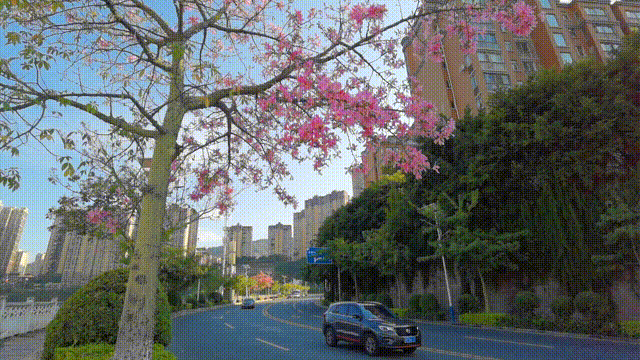 微丽江(微信)