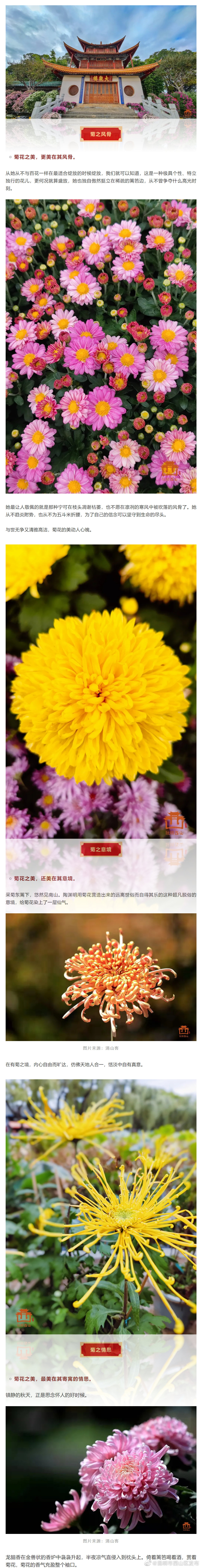 “昆明市西山区发布”微博