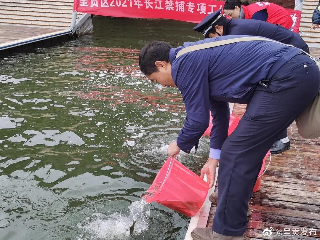 呈贡发布