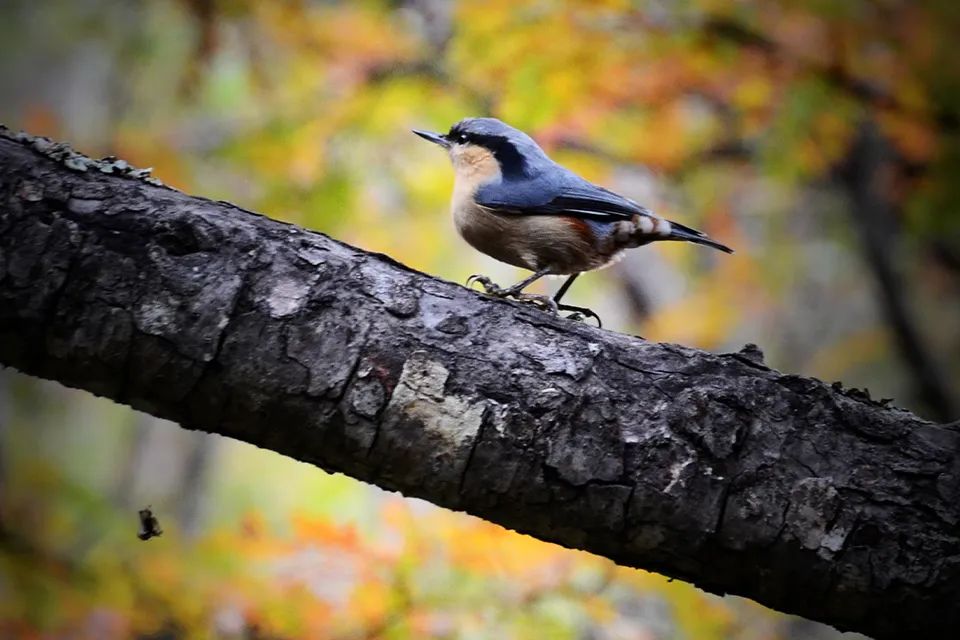 云南广播电视台(微信)