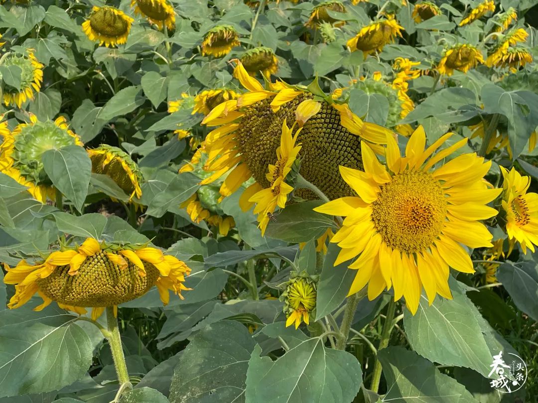 昆明发布(微信)