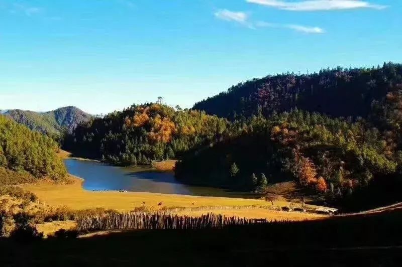 云南广播电视台(微信)