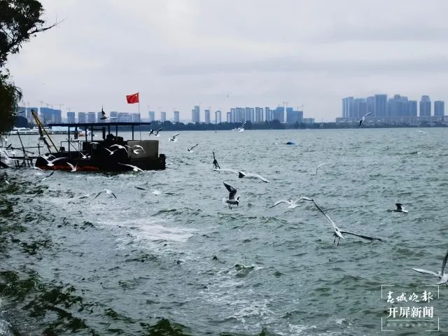 昆明滇池国家旅游度假区管理委员会(微信)