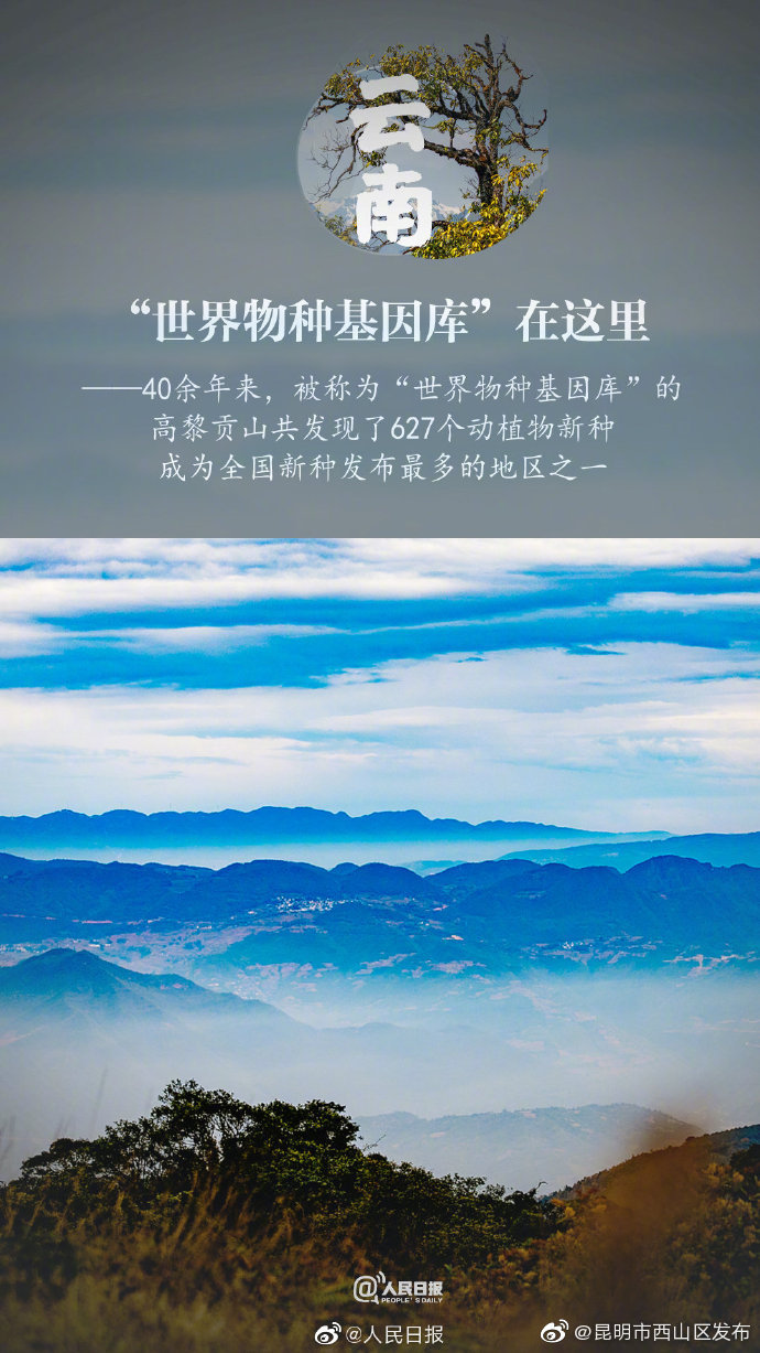 “昆明市西山区发布”微博