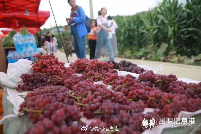 昆明信息港微博