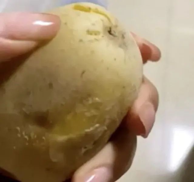 春城晚报(微信)