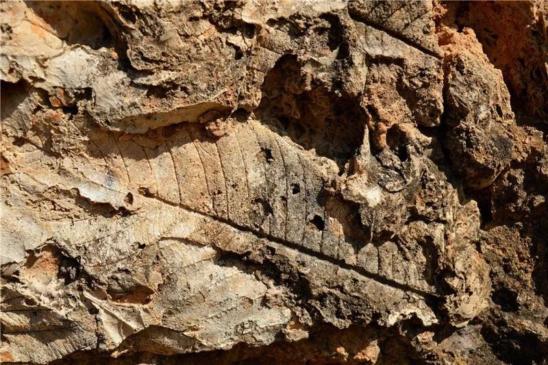 红河文旅(微信)