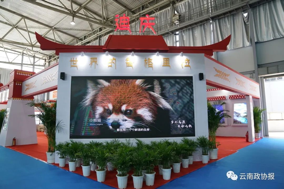 云南政协报(微信)