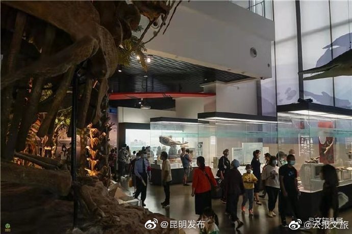 “昆明发布”微博