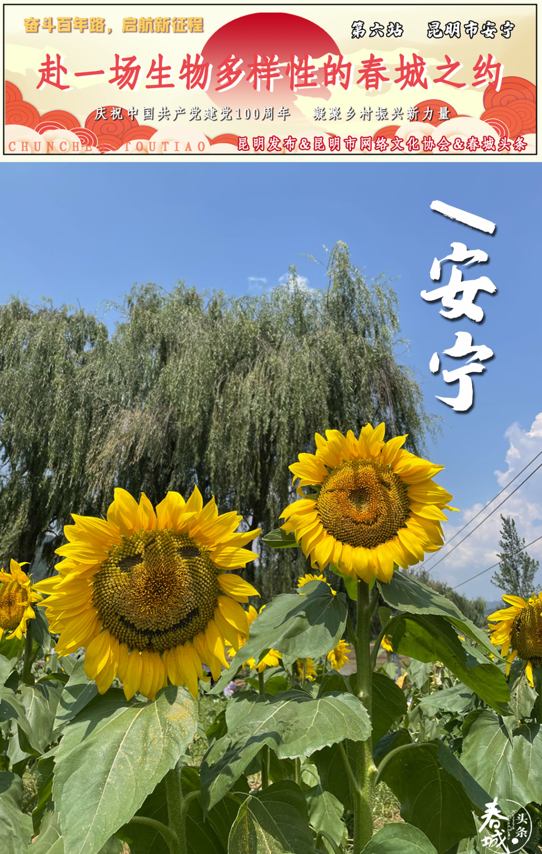 昆明发布(微信)