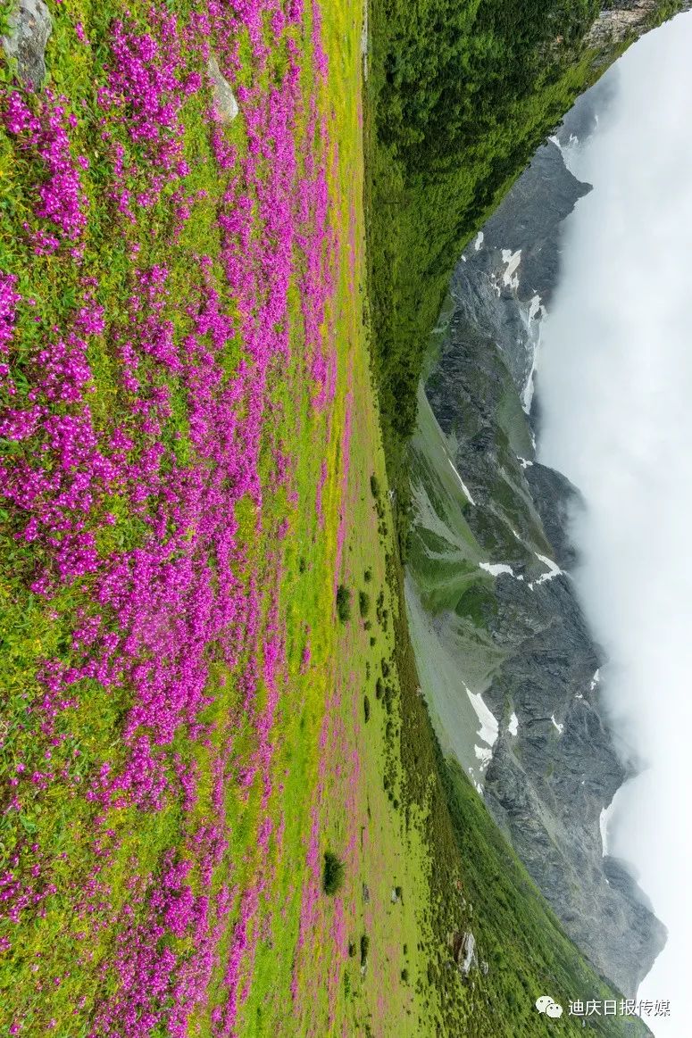 迪庆日报传媒(微信)