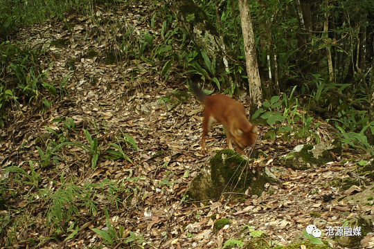 云南广播电视台(微信)