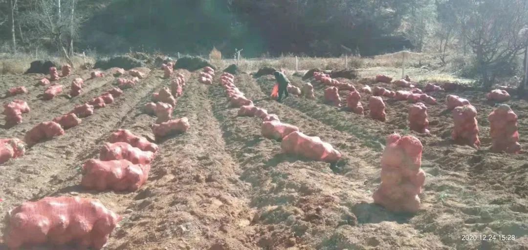 丽江日报(微信)