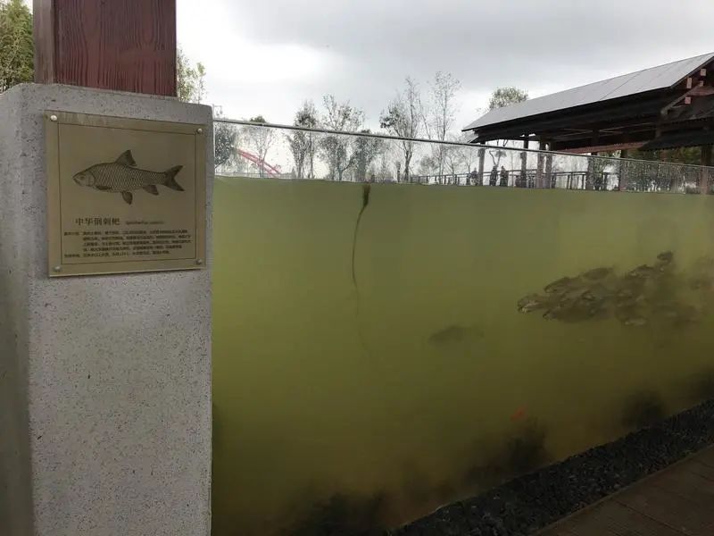 盘龙共青团(微信)