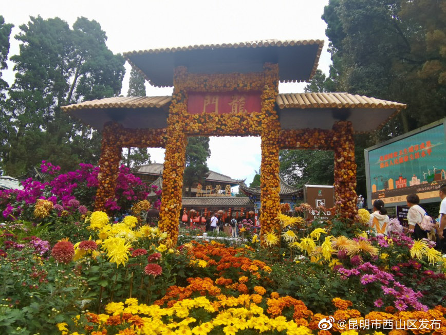 “昆明市西山区发布”微博