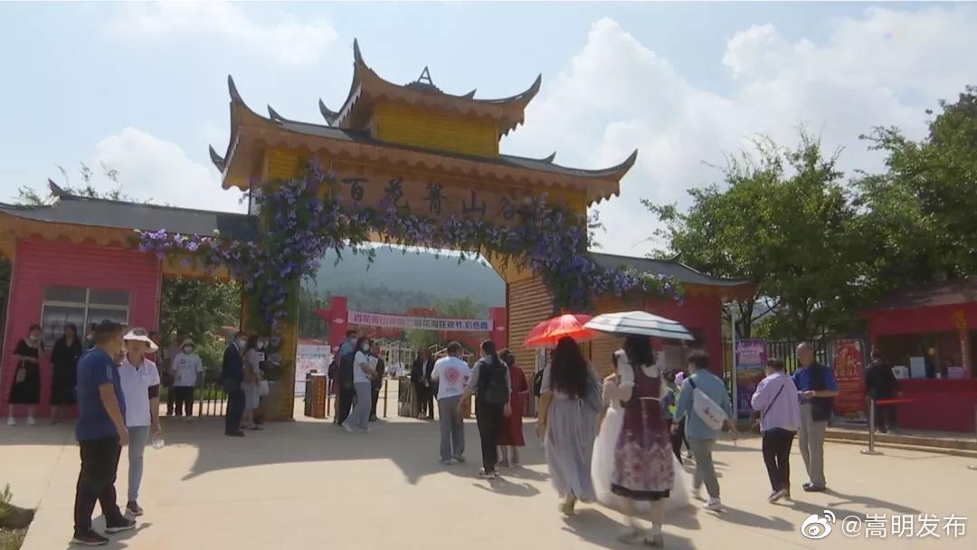 嵩明发布