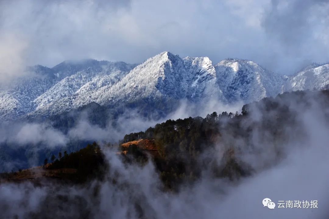 云南政协报(微信)