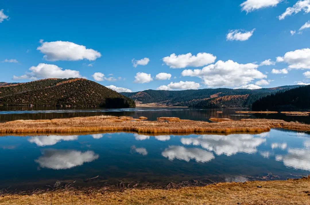 丽江日报(微信)