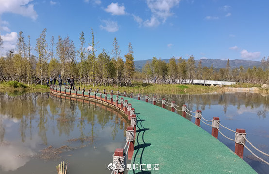 昆明信息港微博