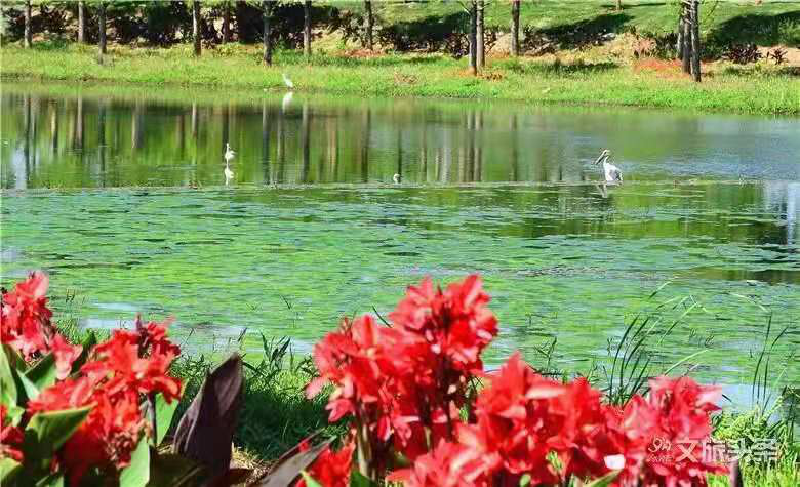 红河文旅(微信)