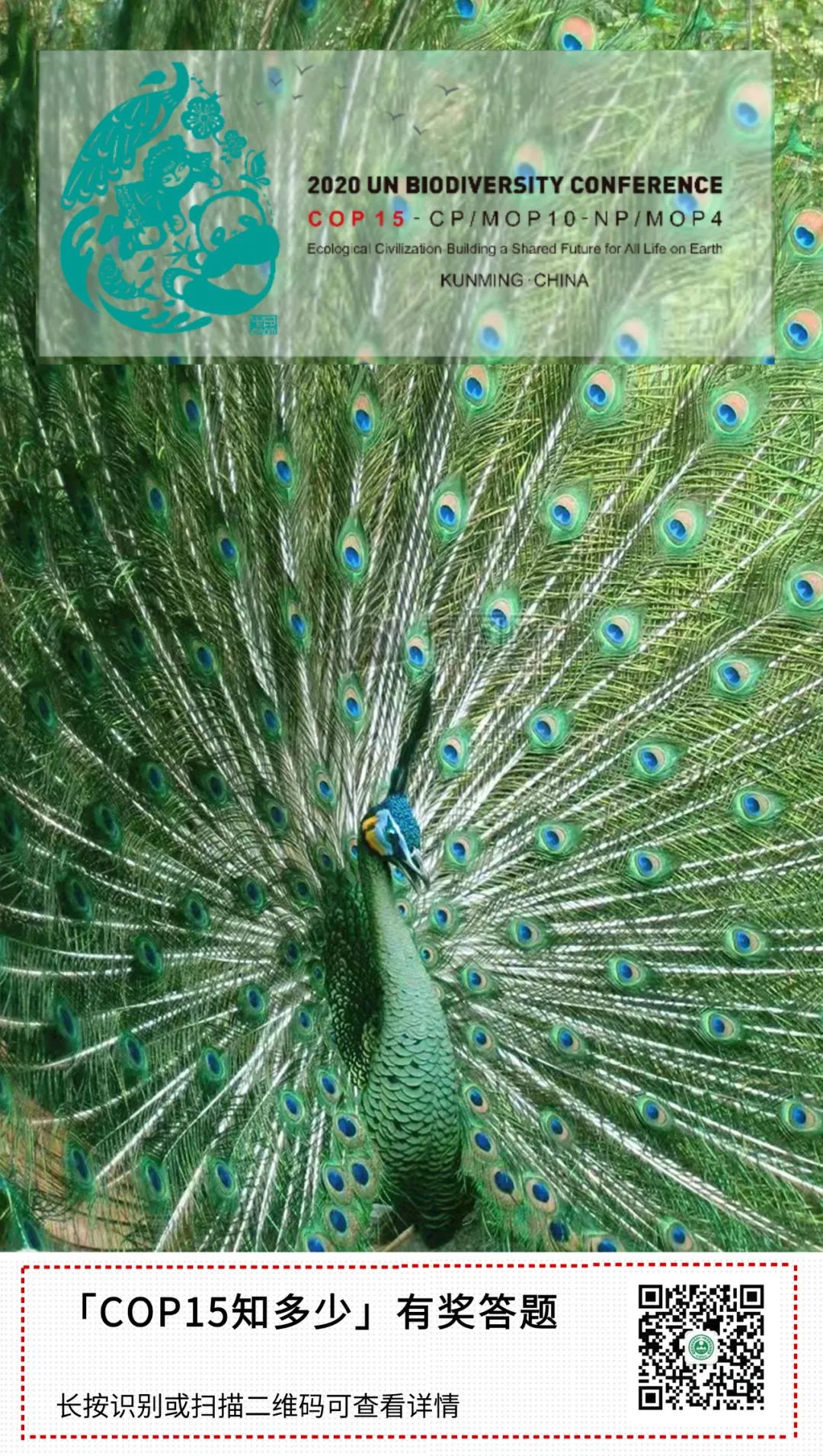 昆明生态环境