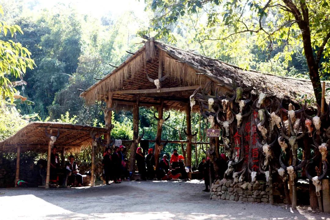 云南广播电视台(微信)