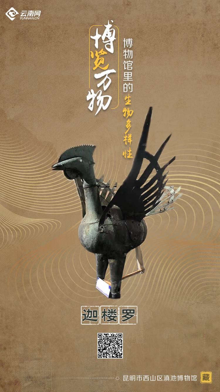 玉溪发布(微信)