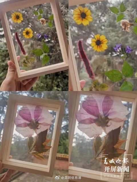 昆明信息港微博