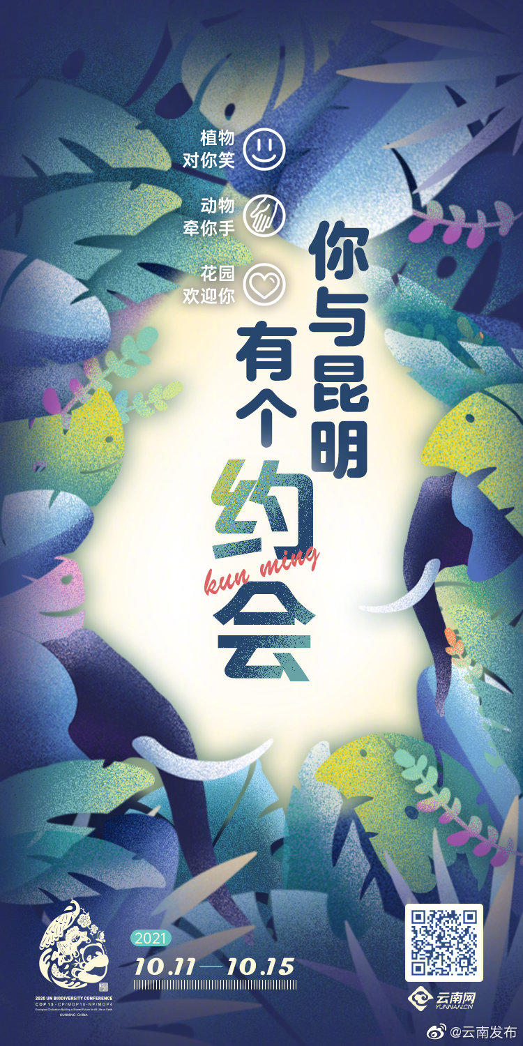 “云南发布”微博