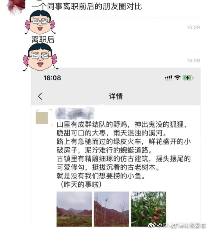“昆明市西山区发布”微博