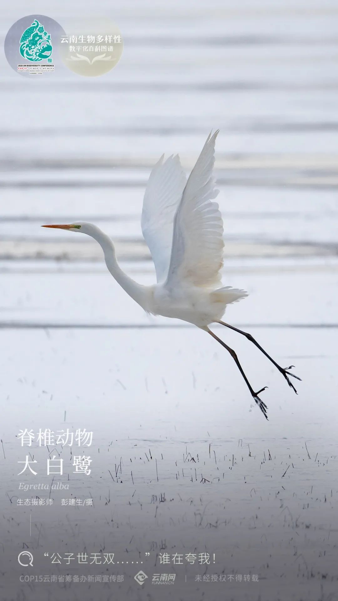 云南省人民政府网