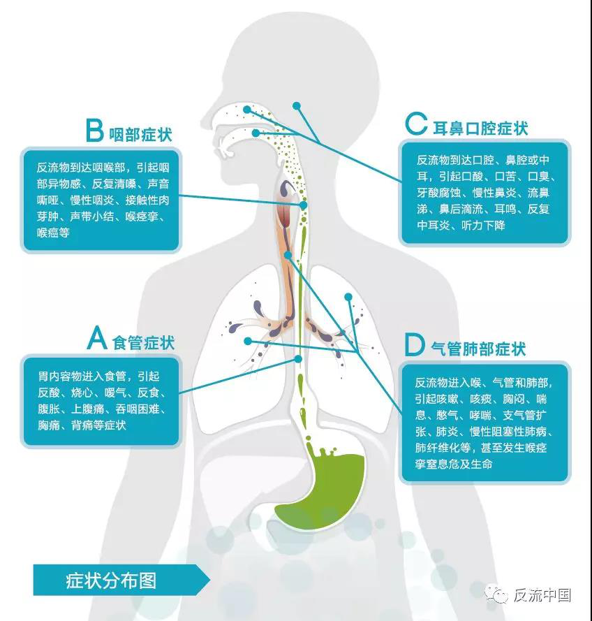 掌上春城(微信)