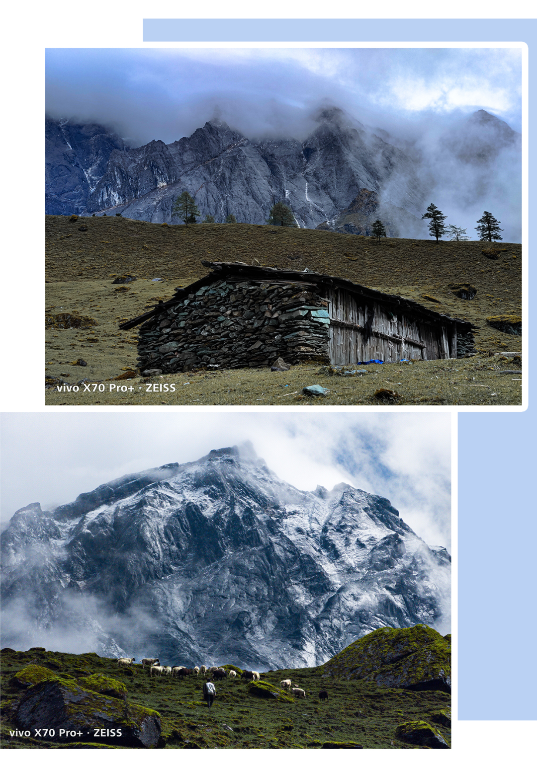 春城晚报(微信)