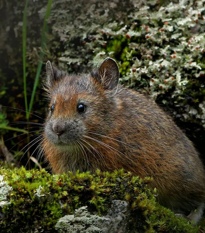 云南广播电视台(微信)